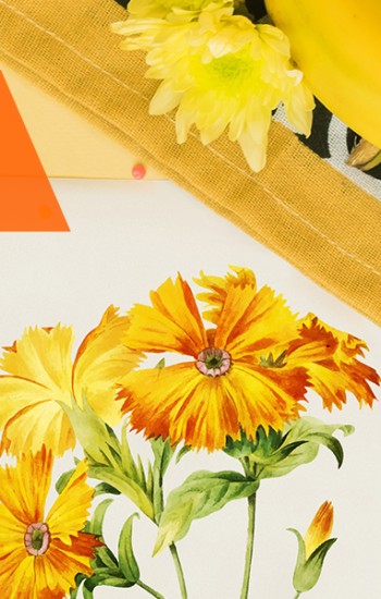 해도두리 61호 이미지