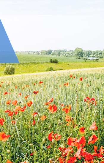 해도두리 62호 이미지