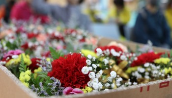 어버이날 행사진행 이미지