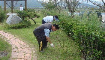 2008-09-11 심신동호회 환경미화 실시 이미지