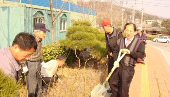 2008-03-10 사랑의 꽃 심기 이미지