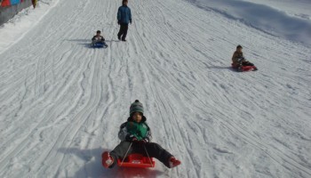 2009-01-20 치료교육팀 야외학습 실시 이미지