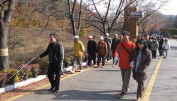 2008-11-14 문화여가생활지원 실시 이미지