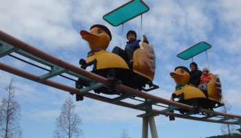 2009-01-20 치료교육팀 야외학습 실시 이미지