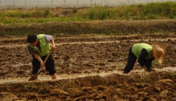 2008-05-22 찾아가는 이동복지관 실시 이미지